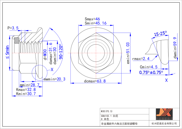 Tuerca de bloqueo de llave de nailon hexagonal especial - Grado 4,8/8,8/10,9/12,9